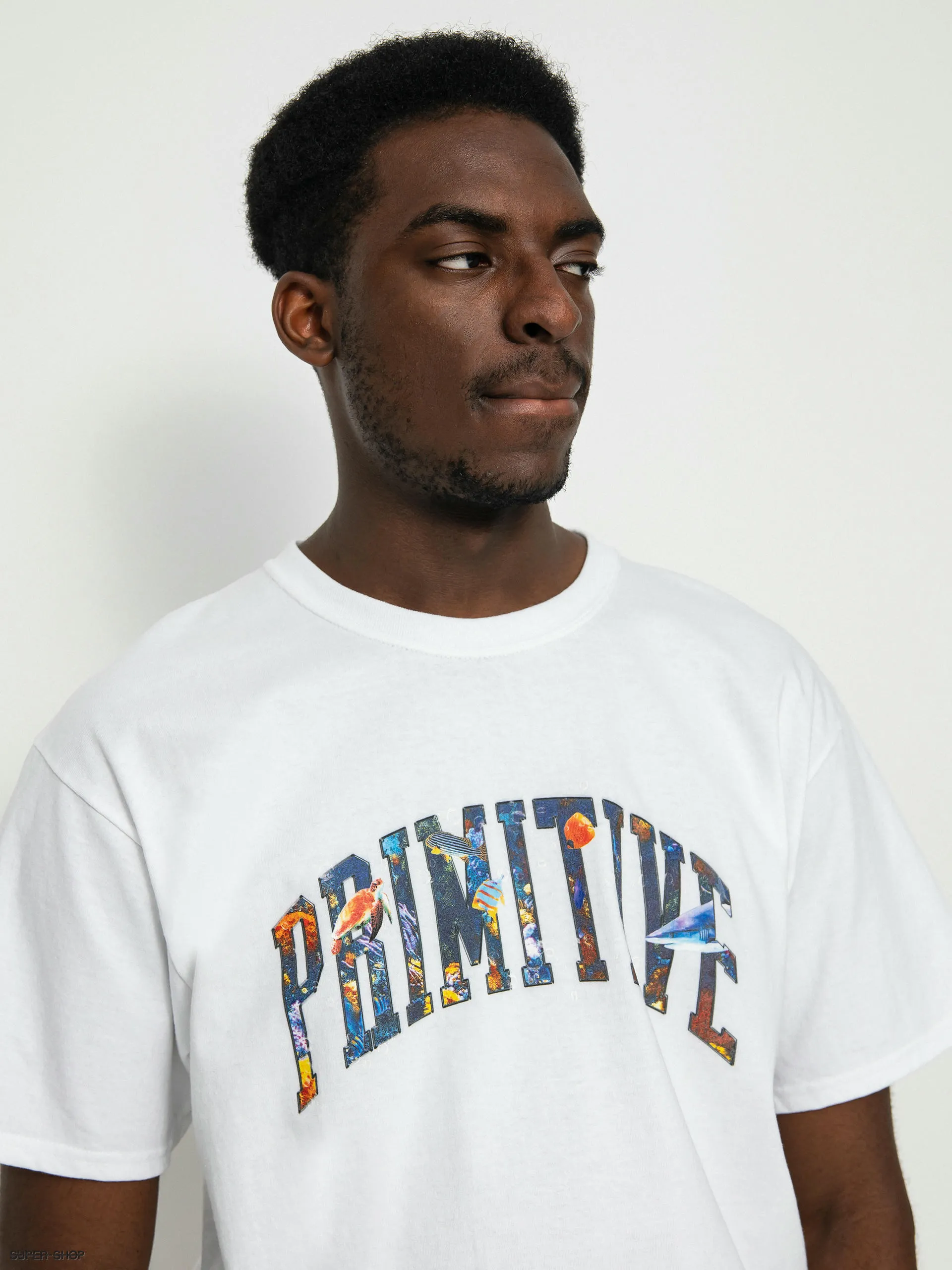 Primitive Collegiate Aquatic T-shirt (white)